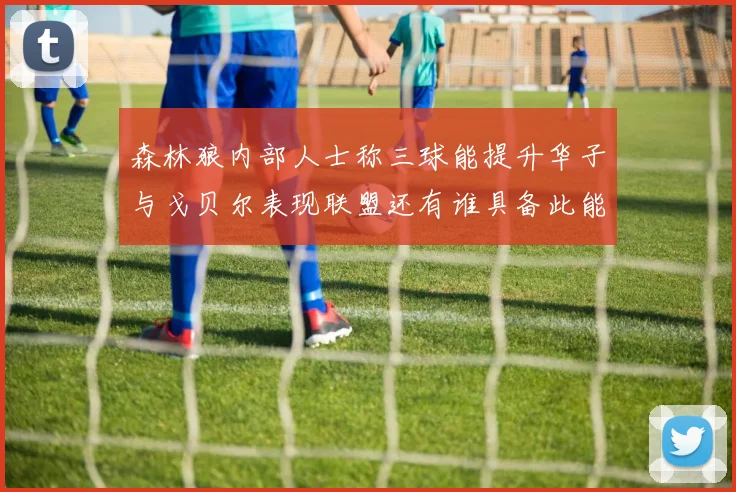 森林狼内部人士称三球能提升华子与戈贝尔表现联盟还有谁具备此能力