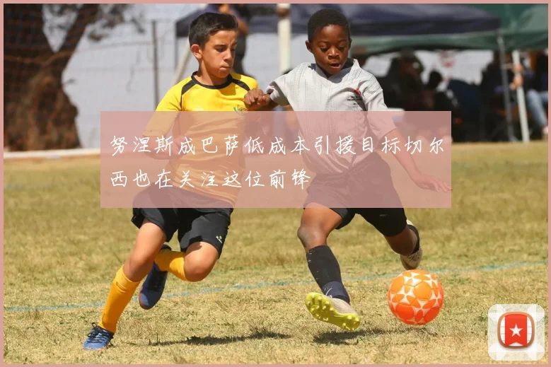 努涅斯成巴萨低成本引援目标切尔西也在关注这位前锋